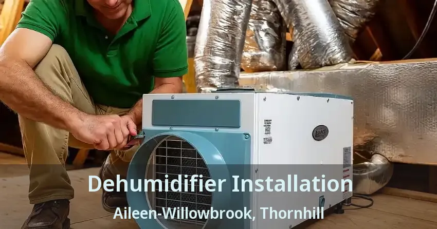 Dehumidifier Installation Aileen-Willowbrook, Thornhill - ON