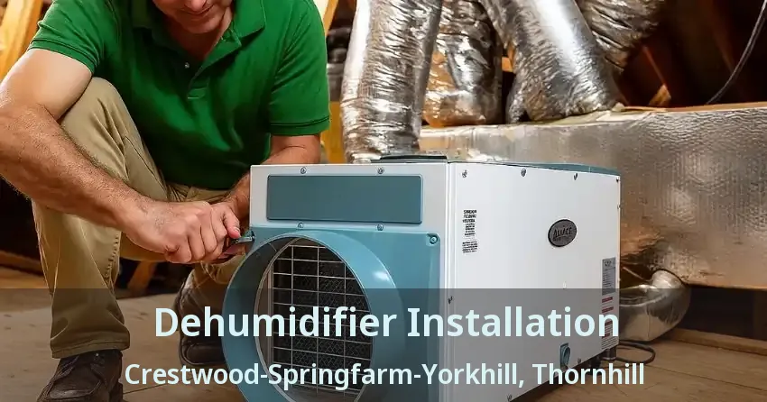 Dehumidifier Installation Crestwood-Springfarm-Yorkhill, Thornhill - ON