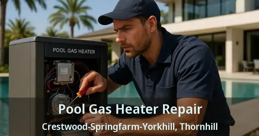 Pool Gas Heater Repair Crestwood-Springfarm-Yorkhill, Thornhill - ON
