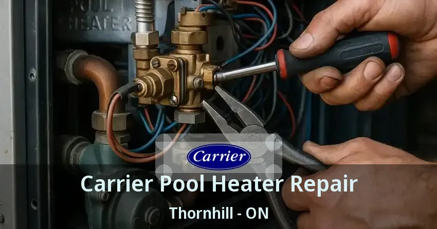 Carrier Pool Heater Repair Thornhill - ON